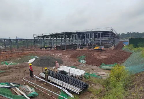 達(dá)川區(qū) 加快項目建設(shè) 厚植產(chǎn)業(yè)基礎(chǔ)